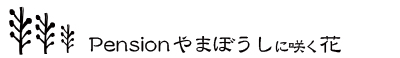 Pensionやまぼうしに咲く花